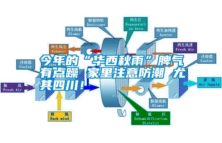 今年的“华西秋雨”脾气有点躁 家里注意防潮 尤其四川！