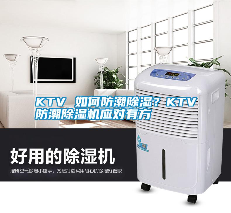 KTV 如何防潮除湿？KTV防潮草莓视频APP在线应对有方