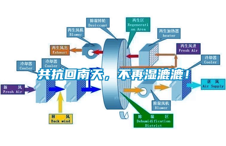 共抗回南天，不再湿漉漉！