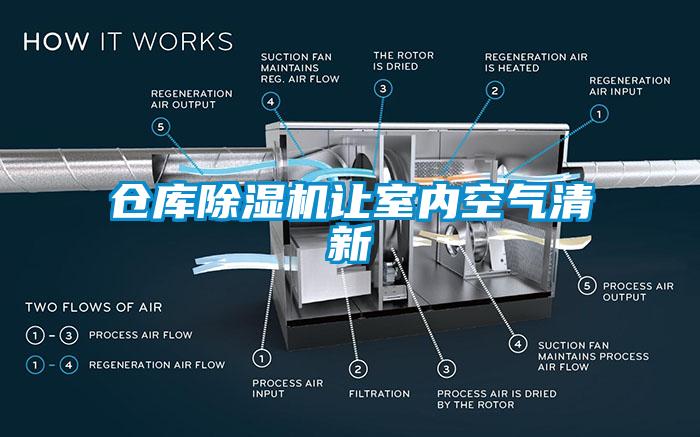 仓库草莓视频APP在线让室内空气清新