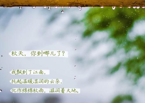 “无晴”阴雨天 “有晴”草莓视频APP在线