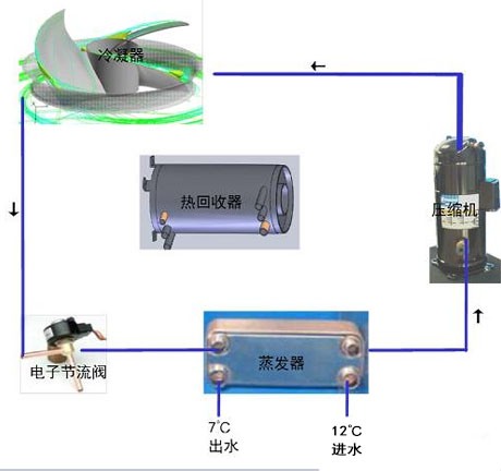 工业草莓视频APP在线厂家