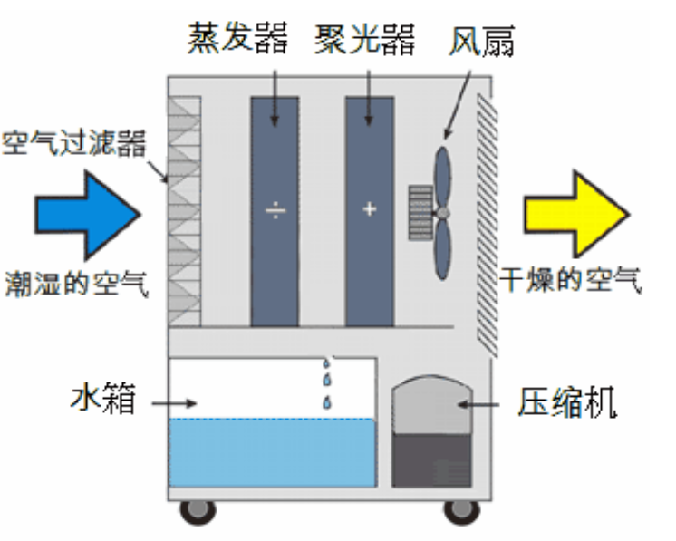 转轮草莓视频APP在线启动不正常的原因