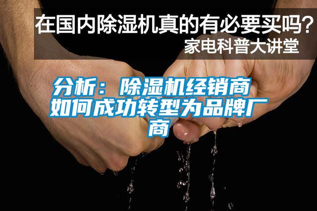 分析：草莓视频APP在线经销商 如何成功转型为品牌厂商