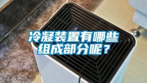 冷凝装置有哪些组成部分呢？