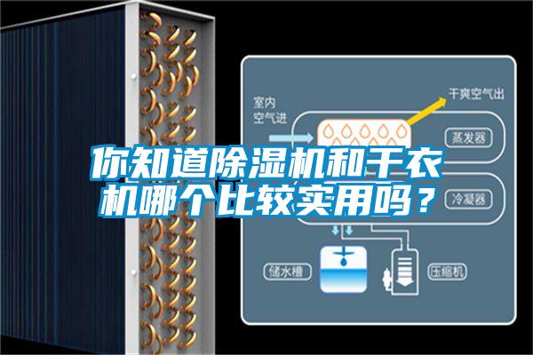 你知道草莓视频APP在线和干衣机哪个比较实用吗？