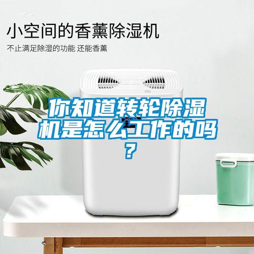 你知道转轮草莓视频APP在线是怎么工作的吗？