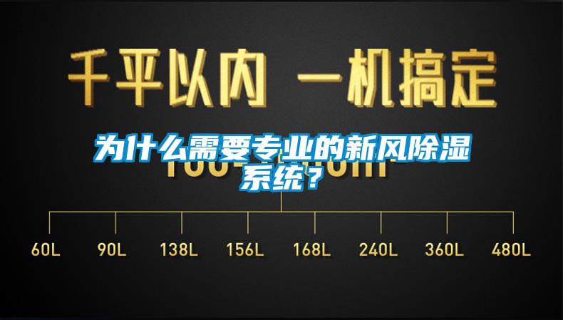 为什么需要专业的新风除湿系统？