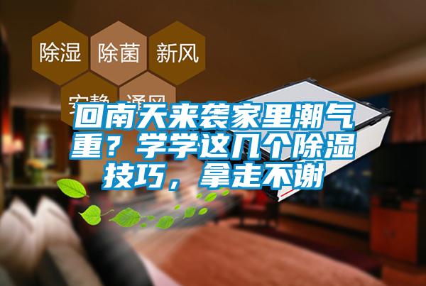 回南天来袭家里潮气重？学学这几个除湿技巧，拿走不谢