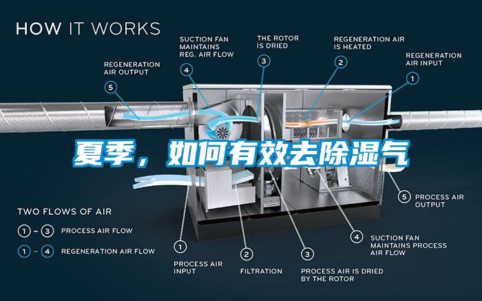 夏季，如何有效去除湿气