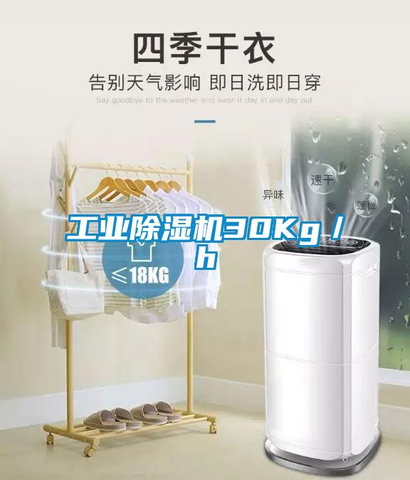 工业草莓视频APP在线30Kg／h