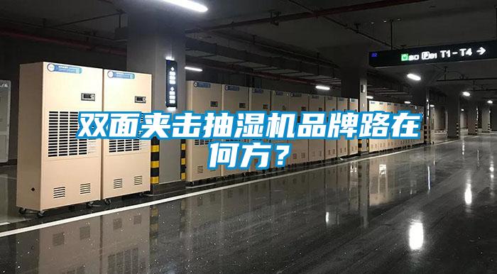 双面夹击抽湿机品牌路在何方？