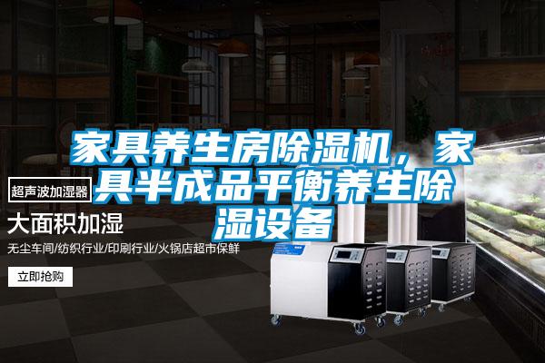 家具养生房草莓视频APP在线，家具半成品平衡养生除湿设备