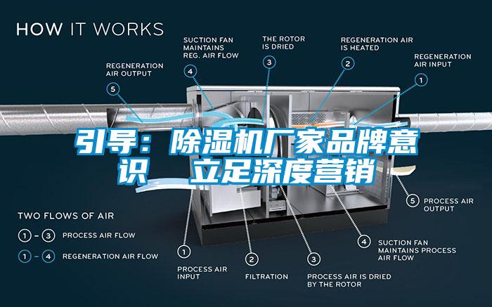 引导：草莓视频APP在线厂家品牌意识  立足深度营销