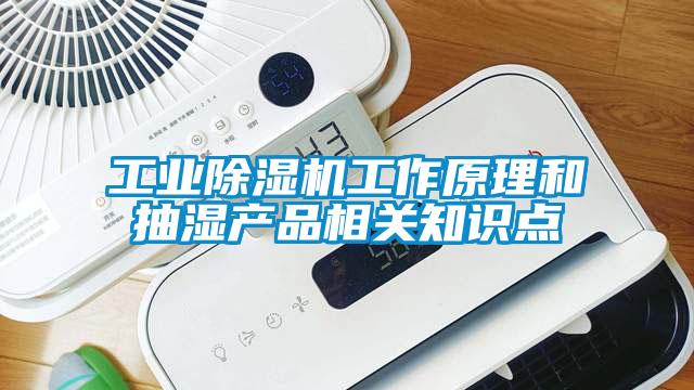 工业草莓视频APP在线工作原理和抽湿产品相关知识点