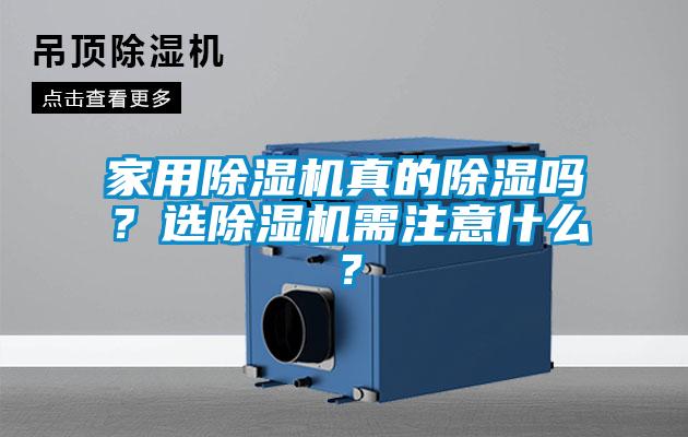 家用草莓视频APP在线真的除湿吗？选草莓视频APP在线需注意什么？