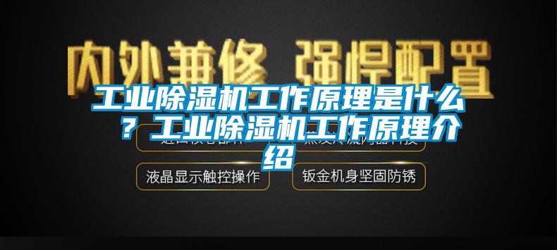 工业草莓视频APP在线工作原理是什么 ？工业草莓视频APP在线工作原理介绍