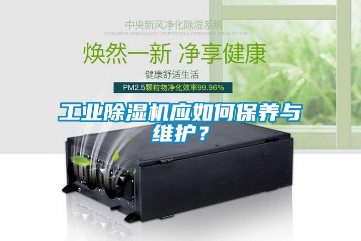 工业草莓视频APP在线应如何保养与维护？