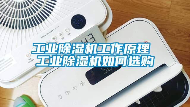 工业草莓视频APP在线工作原理 工业草莓视频APP在线如何选购