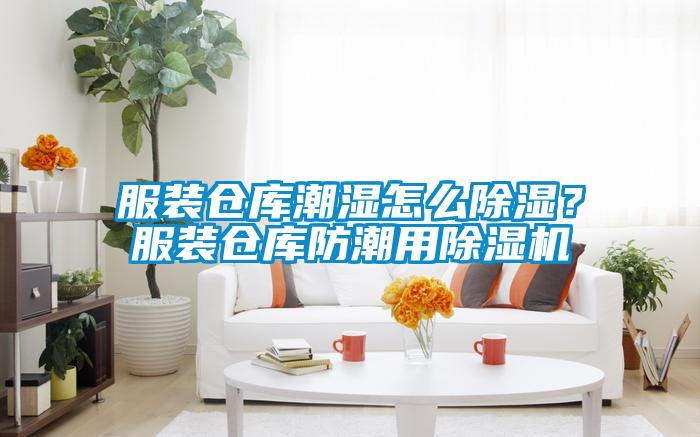 服装仓库潮湿怎么除湿？服装仓库防潮用草莓视频APP在线