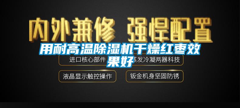 用耐高温草莓视频APP在线干燥红枣效果好