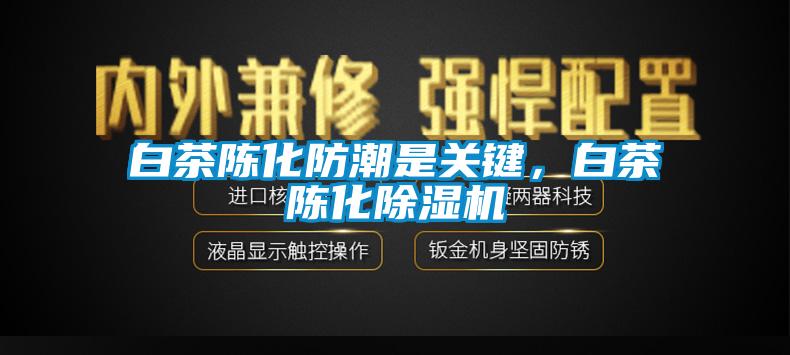 白茶陈化防潮是关键，白茶陈化草莓视频APP在线