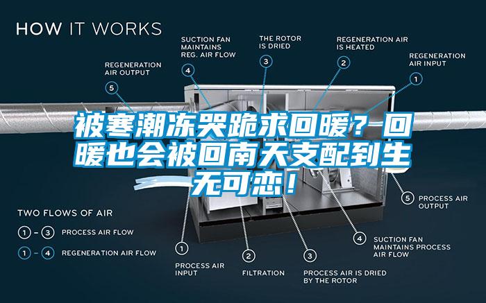 被寒潮冻哭跪求回暖？回暖也会被回南天支配到生无可恋！