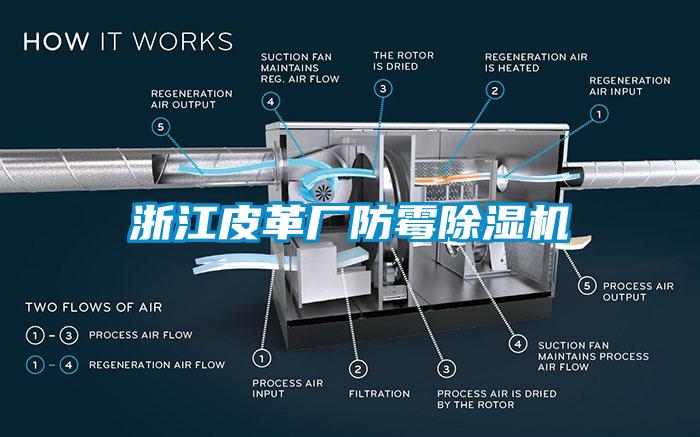 浙江皮革厂防霉草莓视频APP在线