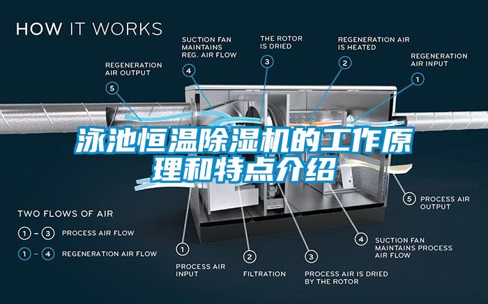 泳池恒温草莓视频APP在线的工作原理和特点介绍