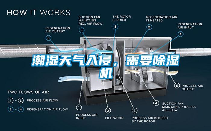 潮湿天气入侵，需要草莓视频APP在线