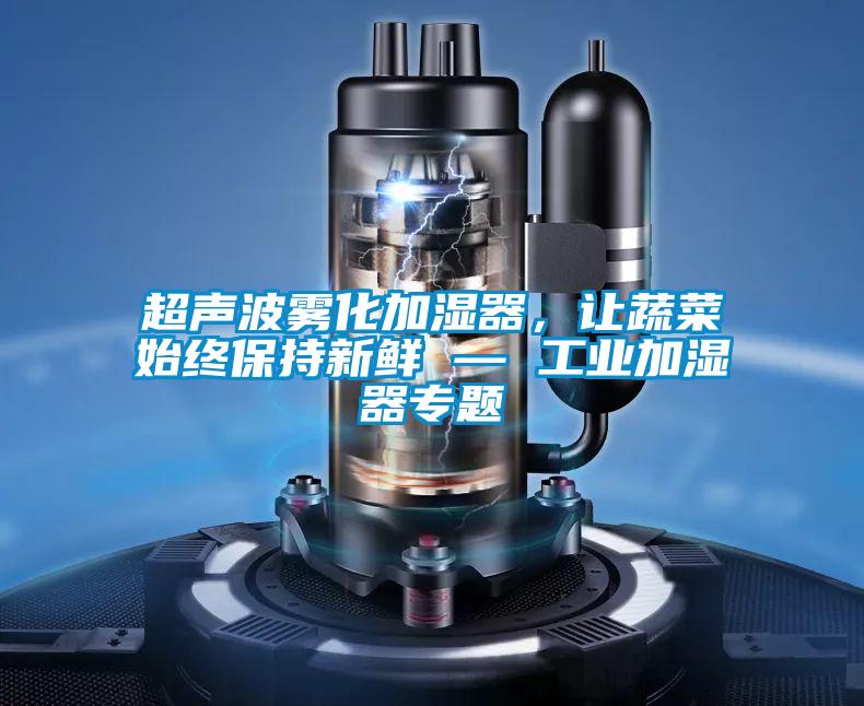 超声波雾化加湿器，让蔬菜始终保持新鲜 — 工业加湿器专题