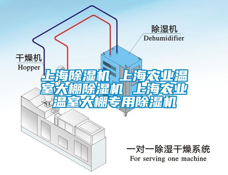 上海草莓视频APP在线 上海农业温室大棚草莓视频APP在线 上海农业温室大棚专用草莓视频APP在线