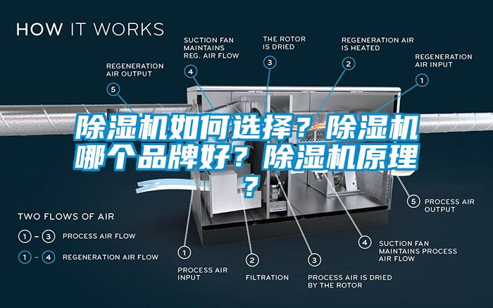 草莓视频APP在线如何选择？草莓视频APP在线哪个品牌好？草莓视频APP在线原理？