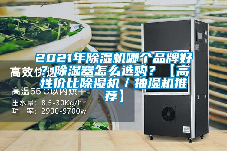 2021年草莓视频APP在线哪个品牌好？除湿器怎么选购？【高性价比草莓视频APP在线／抽湿机推荐】