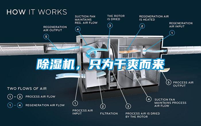 草莓视频APP在线，只为干爽而来