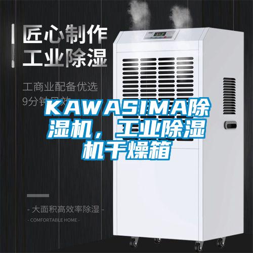 KAWASIMA草莓视频APP在线，工业草莓视频APP在线干燥箱