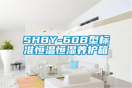 SHBY-60B型标准恒温恒湿养护箱