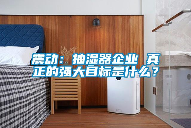 震动：抽湿器企业 真正的强大目标是什么？