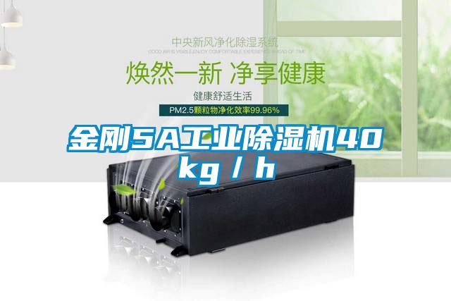 金刚5A工业草莓视频APP在线40kg／h