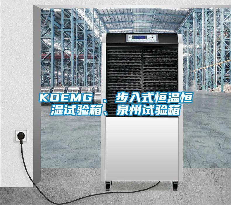 KOEMG 、步入式恒温恒湿试验箱、泉州试验箱