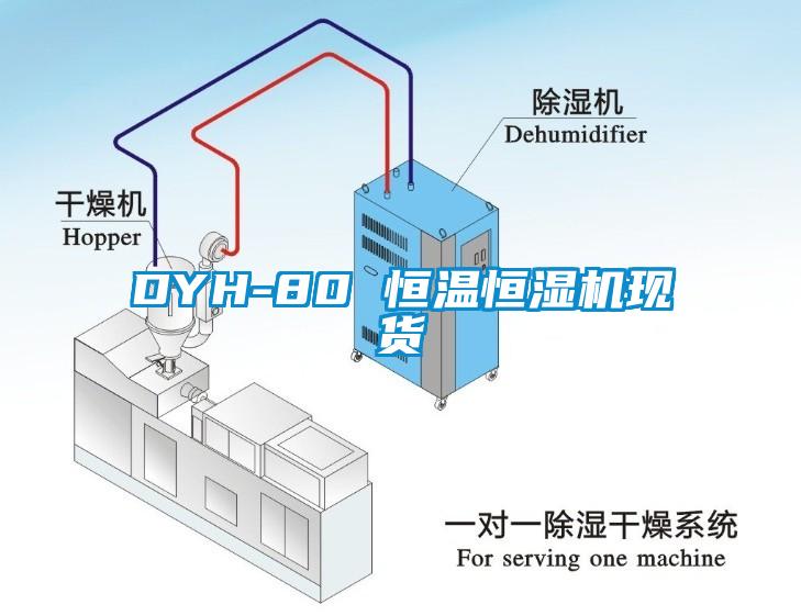 DYH-80 恒温恒湿机现货