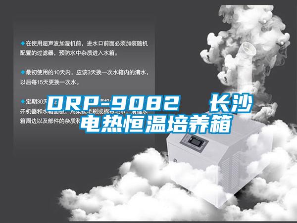 DRP-9082  长沙 电热恒温培养箱