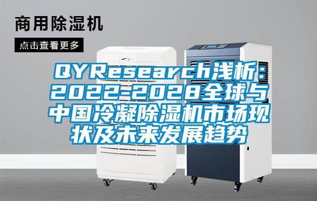 QYResearch浅析：2022-2028全球与中国冷凝草莓视频APP在线市场现状及未来发展趋势