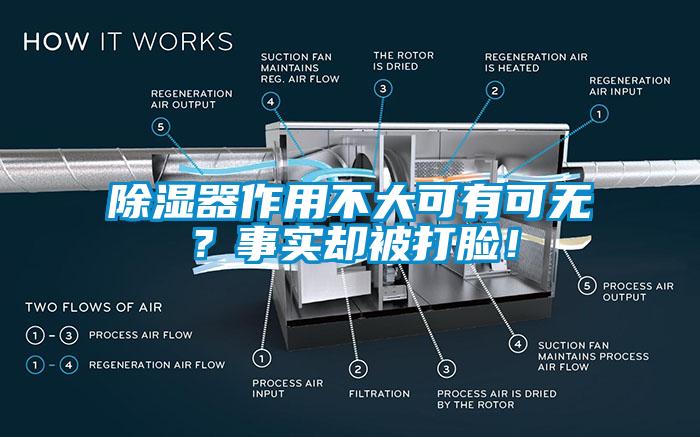 除湿器作用不大可有可无？事实却被打脸！