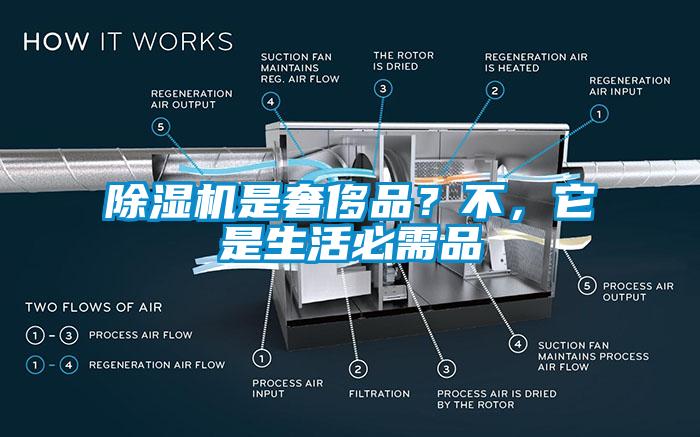 草莓视频APP在线是奢侈品？不，它是生活必需品