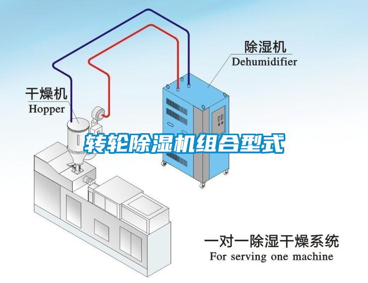 转轮草莓视频APP在线组合型式