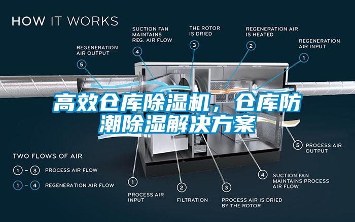 高效仓库草莓视频APP在线，仓库防潮除湿草莓视频下载色版