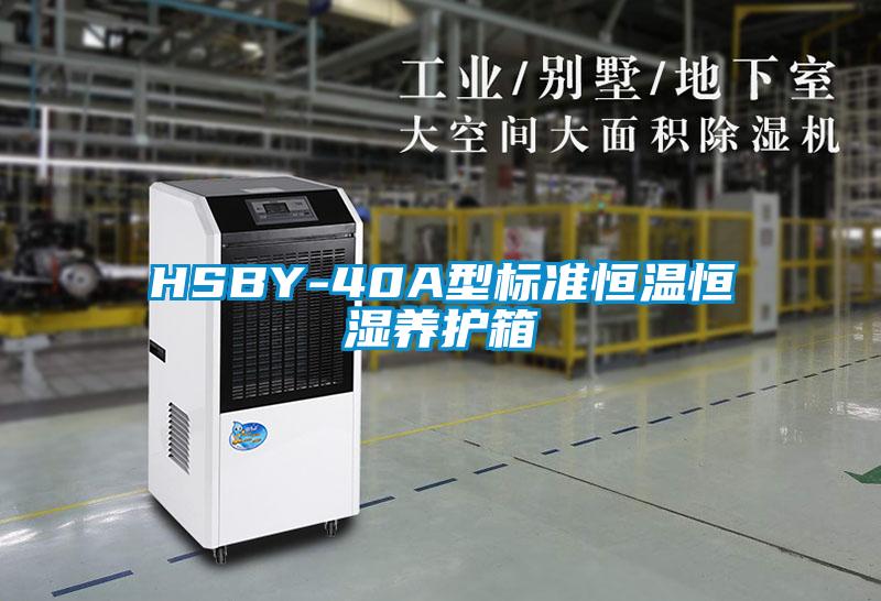 HSBY-40A型标准恒温恒湿养护箱