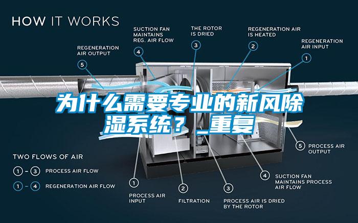 为什么需要专业的新风除湿系统？_重复