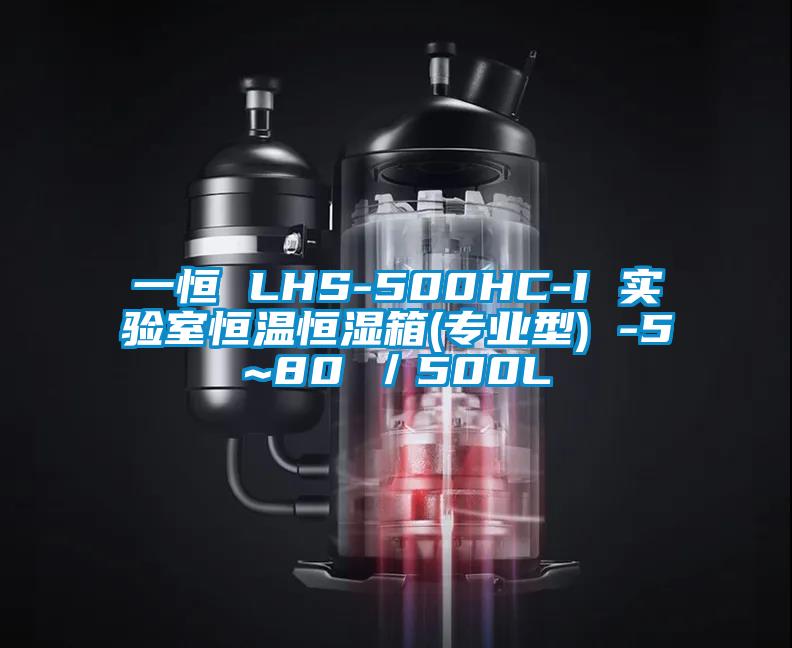 一恒 LHS-500HC-I 实验室恒温恒湿箱(专业型) -5~80℃／500L